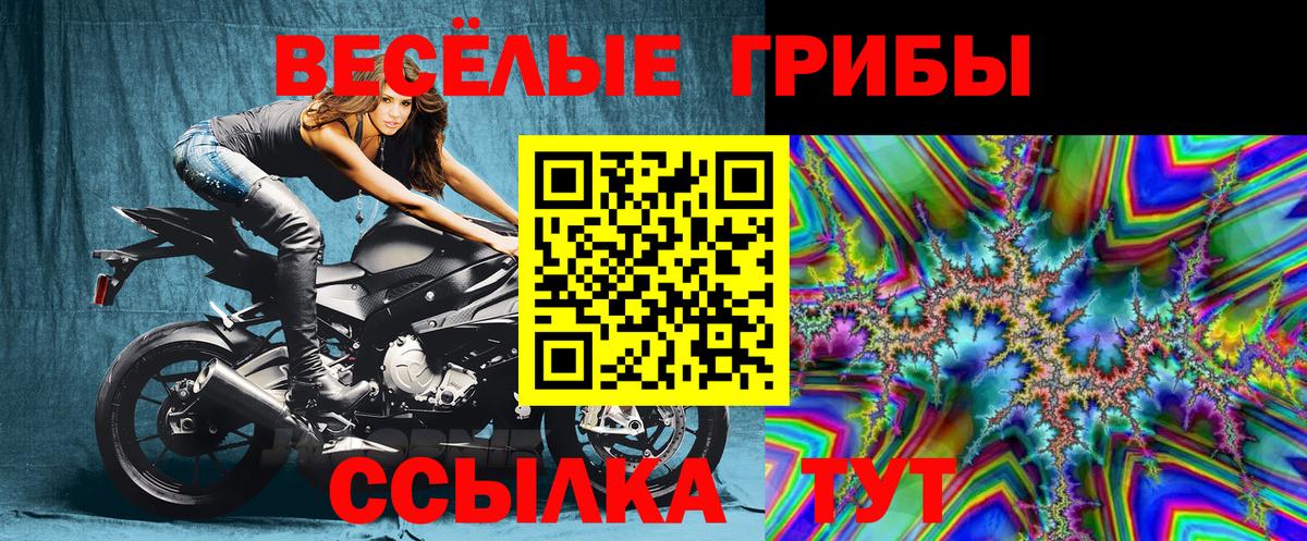 Псилоцибиновые грибы Cubensis  Псилоцибиновые грибы Magic Shrooms  Вход с VPN  Знаменск 